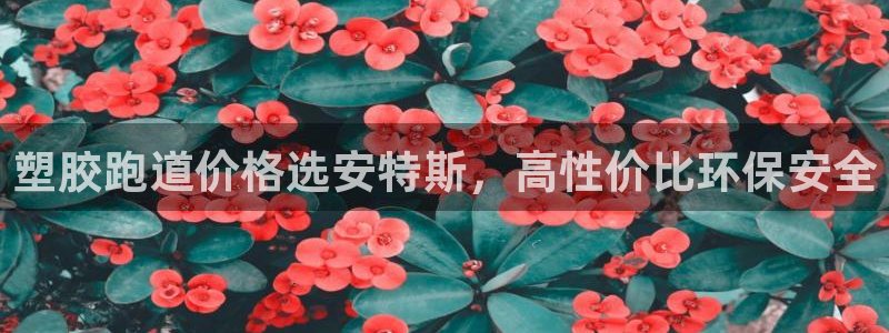 谈球吧是黑台子吗还是白台子好