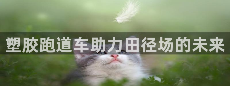 谈球吧靠谱吗：塑胶跑道车助力田径场的未来