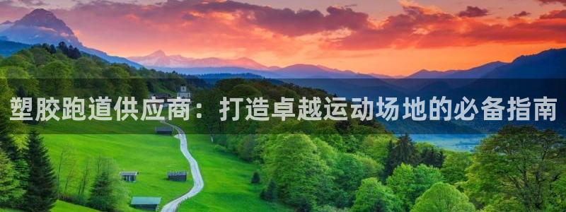 谈球吧-体育赛事：塑胶跑道供应商：打造卓越运动场地的必备指南
