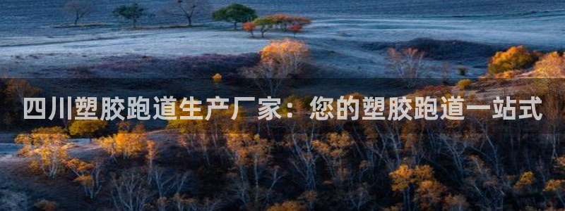 谈球吧APP：四川塑胶跑道生产厂家：您的塑胶跑道一站式
