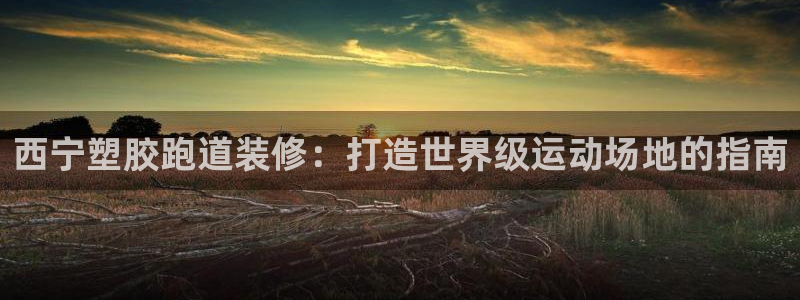谈球吧的聊天软件是什么：西宁塑胶跑道装修：打造世界级运动场地的指南