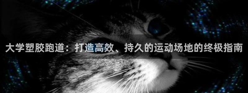 谈球吧的聊天软件是什么：大学塑胶跑道：打造高效、持久的运动场地的终极指南