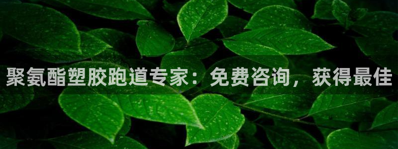谈球吧平台app下载网址是什么：聚氨酯塑胶跑道专家：免费咨询，获得最佳