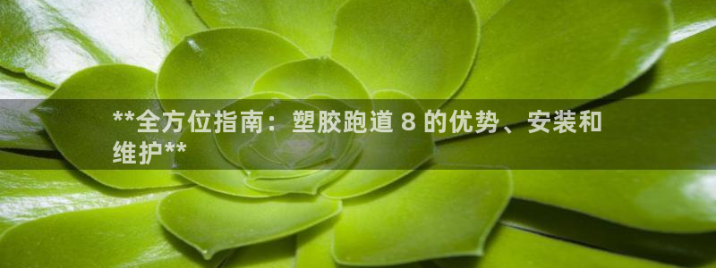 谈球吧体育赛事：**全方位指南：塑胶跑道 8 的优势、安装和
维护**
