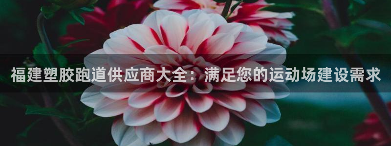 谈球吧官网在线入口免费观看高清：福建塑胶跑道供应商大全：满足您的运动场建设需求