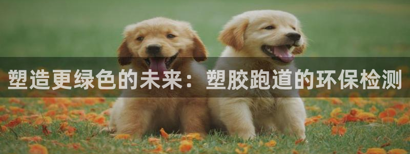 谈球吧官网下载：塑造更绿色的未来：塑胶跑道的环保检测