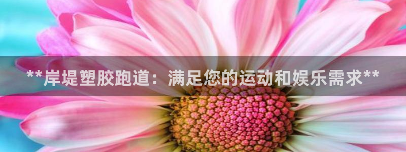 谈球吧官网在线入口免费观看视频网站：**岸堤塑胶跑道：满足您的运动和娱乐需求**