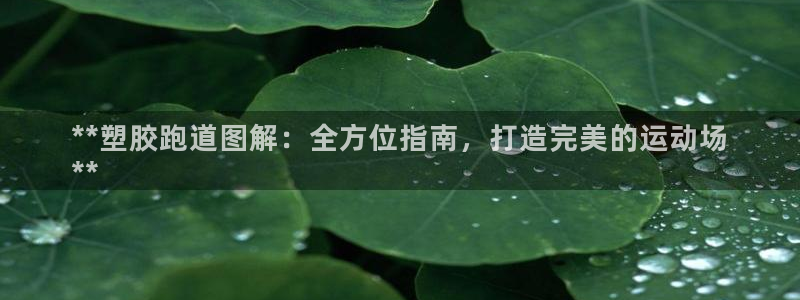谈球吧app赛事分析在哪里看：**塑胶跑道图解：全方位指南，打造完美的运动场
**