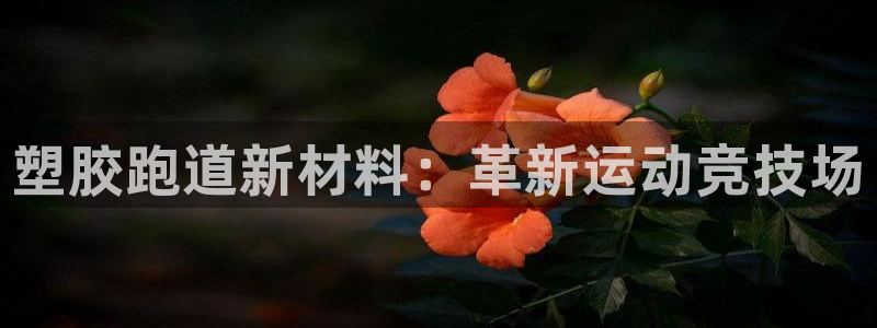谈球吧体育官网入口：塑胶跑道新材料：革新运动竞技场