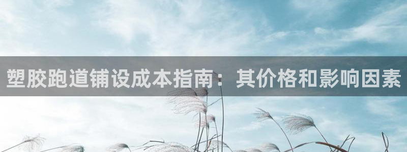 谈球吧算违法行为吗为什么：塑胶跑道铺设成本指南：其价