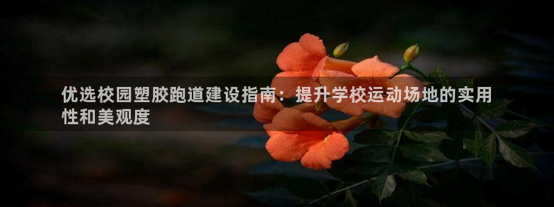 谈球吧与普通平台对比：优选校园塑胶跑道建设指南：提升