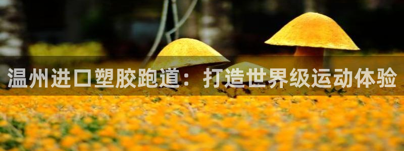 谈球吧app在哪里下载：温州进口塑胶跑道：打造世界级