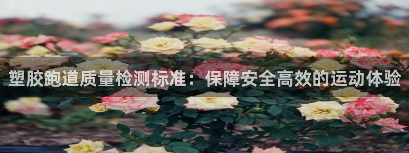 谈球吧体育app下载：塑胶跑道质量检测标准：保障安全高效的运动体验