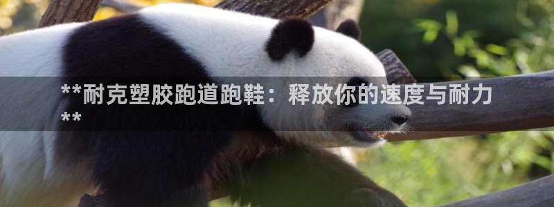 谈球吧论坛：**耐克塑胶跑道跑鞋：释放你的速度与耐力
**