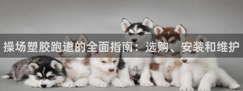 谈球吧app官网：操场塑胶跑道的全面指南：选购、安装和维护