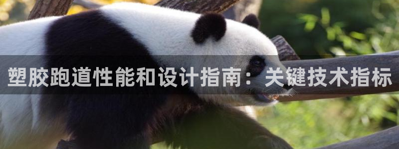谈球吧言网入口：塑胶跑道性能和设计指南：关键技术指标