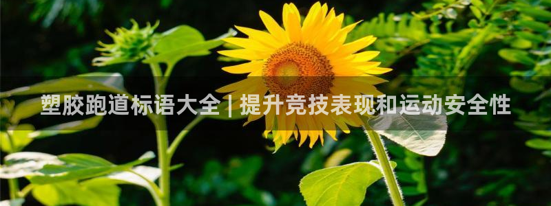 谈球吧tvt：塑胶跑道标语大全 | 提升竞技表现和运动安全性