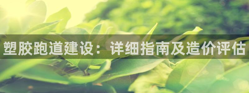 谈球吧言网入口：塑胶跑道建设：详细指南及造价评估