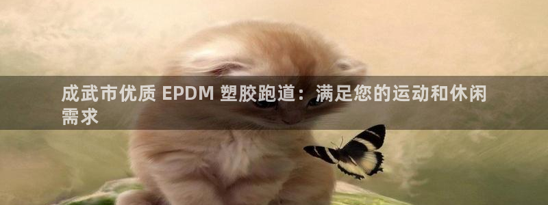 谈球吧下载地址：成武市优质 EPDM 塑胶跑道：满足您的运动和休闲
需求