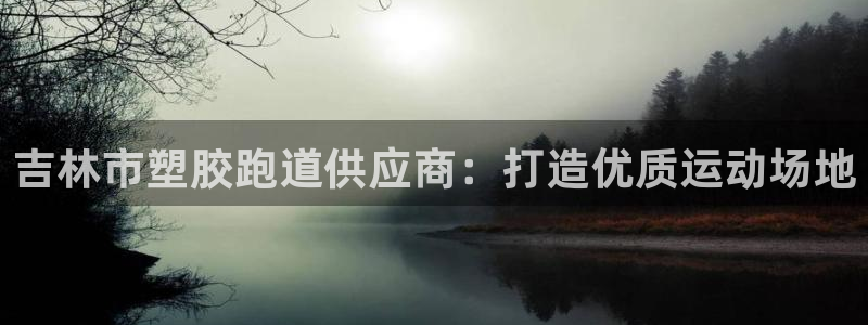 谈球吧官网在线入口免费观看视频网站：吉林市塑胶跑道供应商：打造优质运动场地