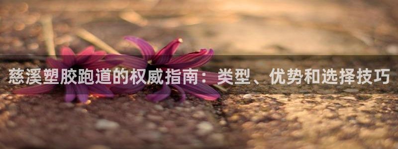 谈球吧体育app登陆不上：慈溪塑胶跑道的权威指南：类型、优势和选择技巧