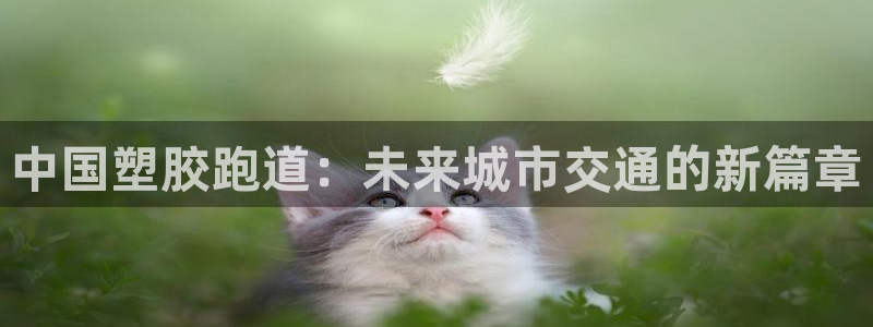 谈球吧在线登录