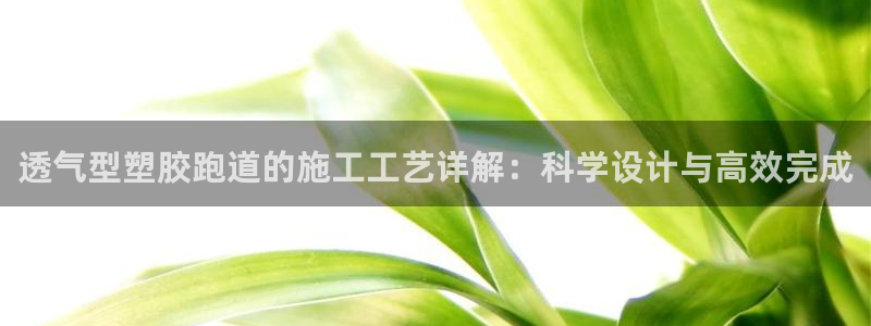 谈球吧网页登陆