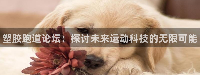 谈球吧官方网站