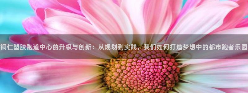 谈球吧咋样黑钱