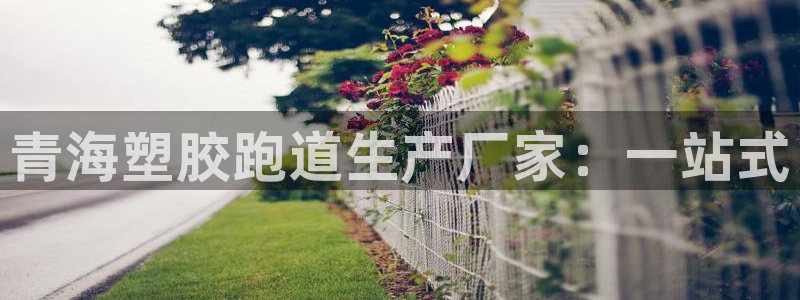 谈球吧真人