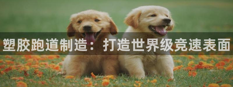 谈球吧官网在线入口手机版免费观看：塑胶跑道制造：打造世界级竞速表面