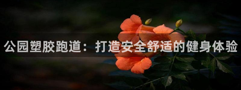 谈球吧下载：公园塑胶跑道：打造安全舒适的健身体验