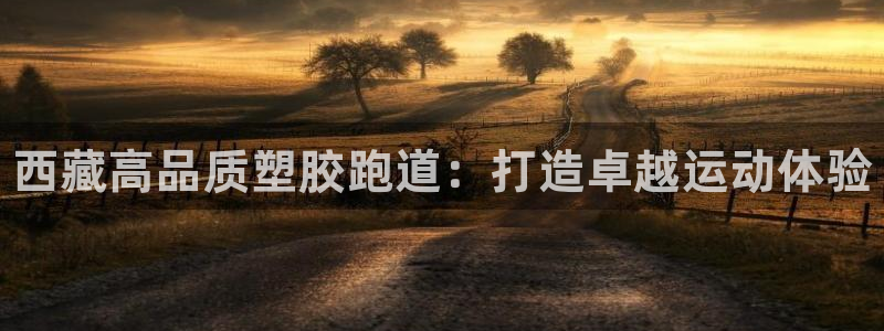 谈球吧网页版在线入口：西藏高品质塑胶跑道：打造卓越运