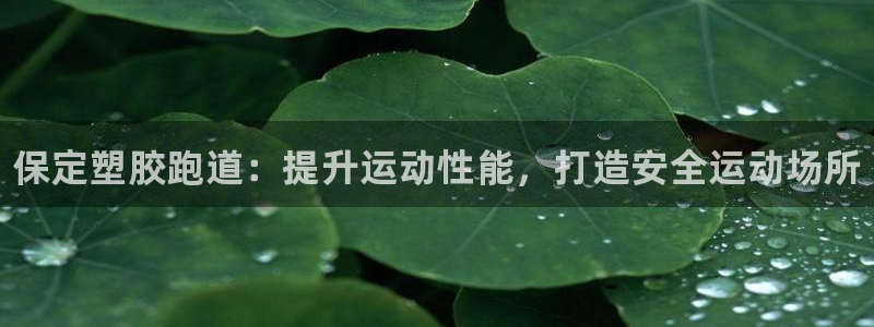 谈球吧网站：保定塑胶跑道：提升运动性能，打造安全运动场所