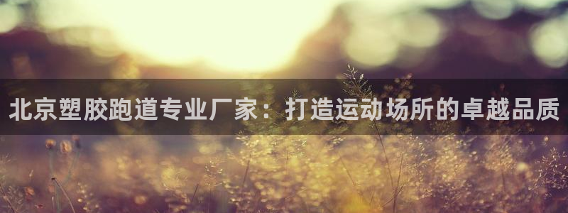 谈球吧体育官网在线入口：北京塑胶跑道专业厂家：打造运