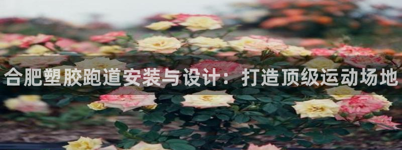 谈球吧官网下载：合肥塑胶跑道安装与设计：打造顶级运动场地