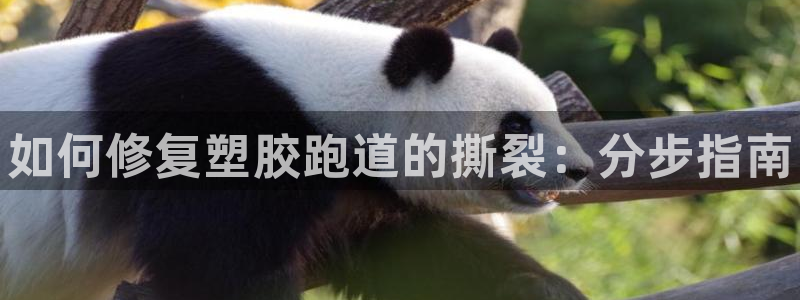 谈球吧登录网：如何修复塑胶跑道的撕裂：分步指南