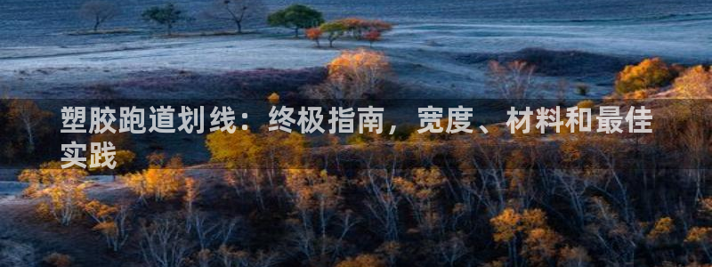 谈球吧tvt：塑胶跑道划线：终极指南，宽度、材料和最佳
实践