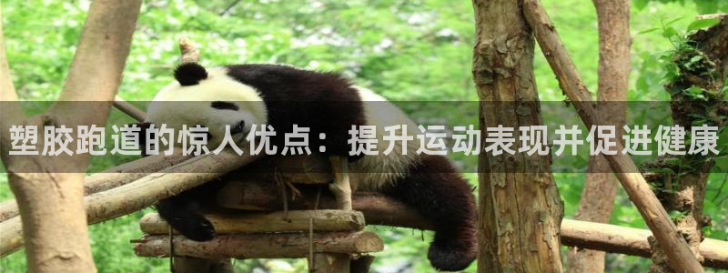 谈球吧体育app下载中心：塑胶跑道的惊人优点：提升运动表现并