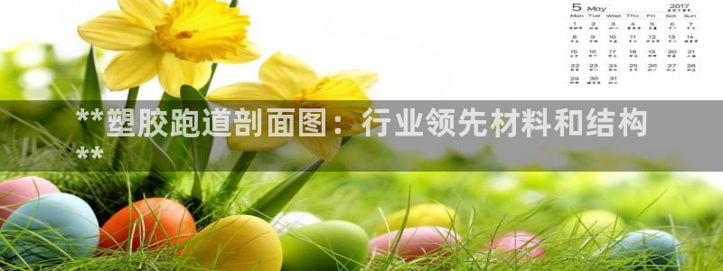 谈球吧在线：**塑胶跑道剖面图：行业领先材料和结构
**