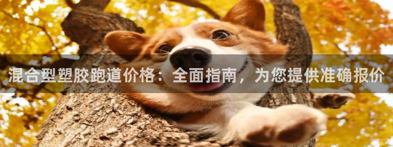 谈球吧是否诈骗：混合型塑胶跑道价格：全面指南，为您提供准确报