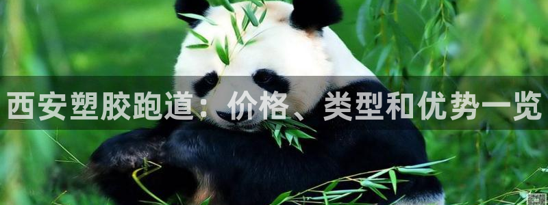 谈球吧平台正规吗可信吗知乎：西安塑胶跑道：价格、类型和优势一