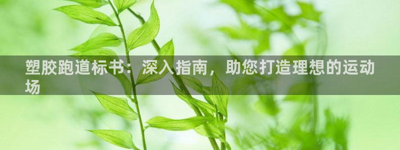 谈球吧官网在线入口：塑胶跑道标书：深入指南，助您打造理想的运