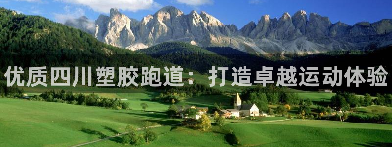 谈球吧tvt：优质四川塑胶跑道：打造卓越运动体验