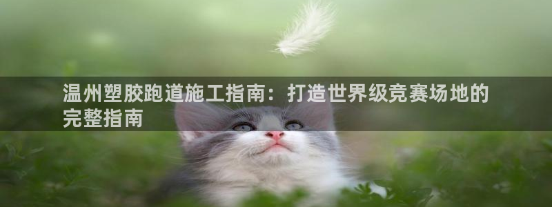 谈球吧的聊天软件叫什么来着：温州塑胶跑道施工指南：打造世界级竞赛场地的
完整指南