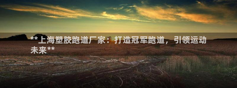 谈球吧平台app下载网址是什么：**上海塑胶跑道厂家：打造冠军跑道，引领运动
未来**