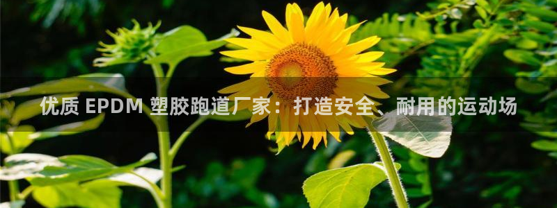 谈球吧是黑台子吗知乎