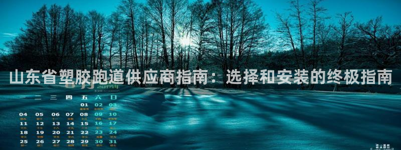 谈球吧是正规平台吗安全吗：山东省塑胶跑道供应商指南：