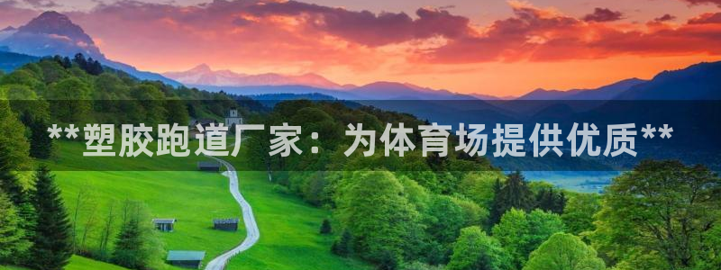 谈球吧账号有人收吗：**塑胶跑道厂家：为体育场提供优