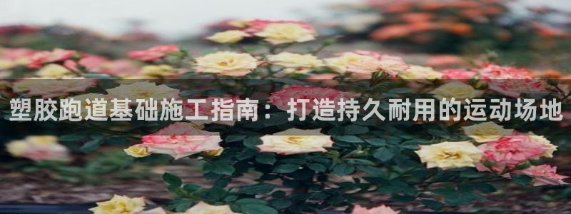 谈球吧官网在线入口免费观看视频下载：塑胶跑道基础施工指南：打